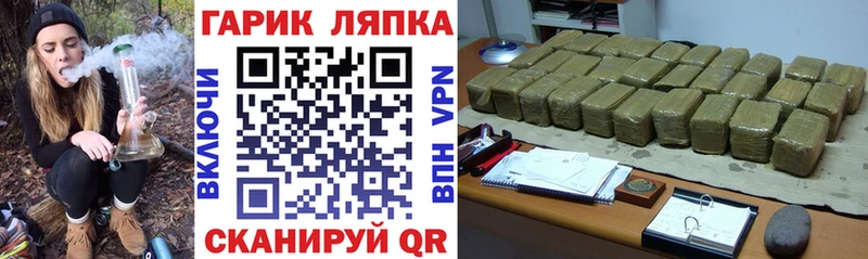 ГАШ Premium  Сосновый Бор 