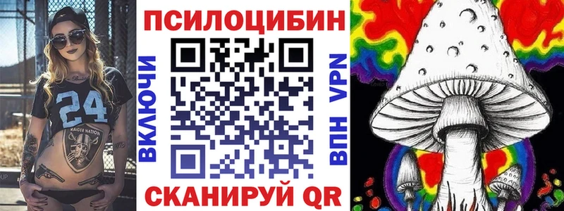 Псилоцибиновые грибы мицелий хочу kraken зеркало Сосновый Бор